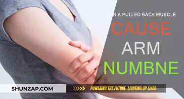 Back Muscle Pull: A Surprising Cause of Arm Numbness?