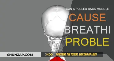 Pulled Back Muscle: Can It Affect Your Breathing?
