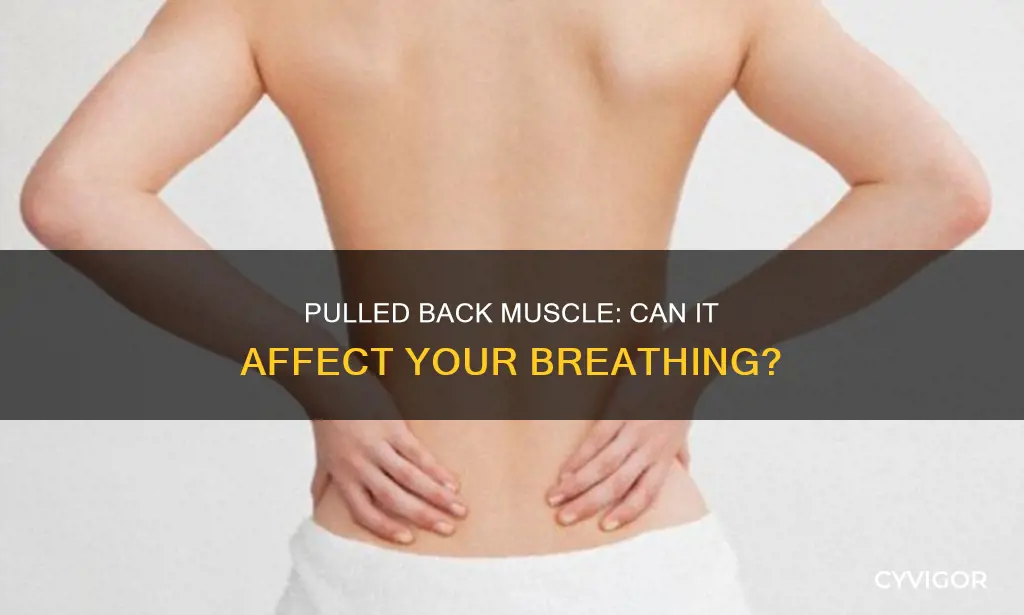 can a pulled back muscle cause breathing problems