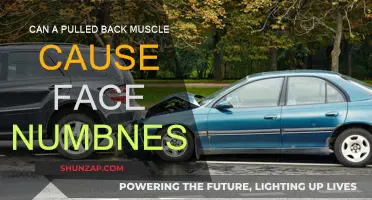 Back Muscle Pull: An Unusual Cause of Facial Numbness