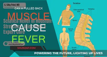 Back Muscle Pull: A Feverish Conundrum?
