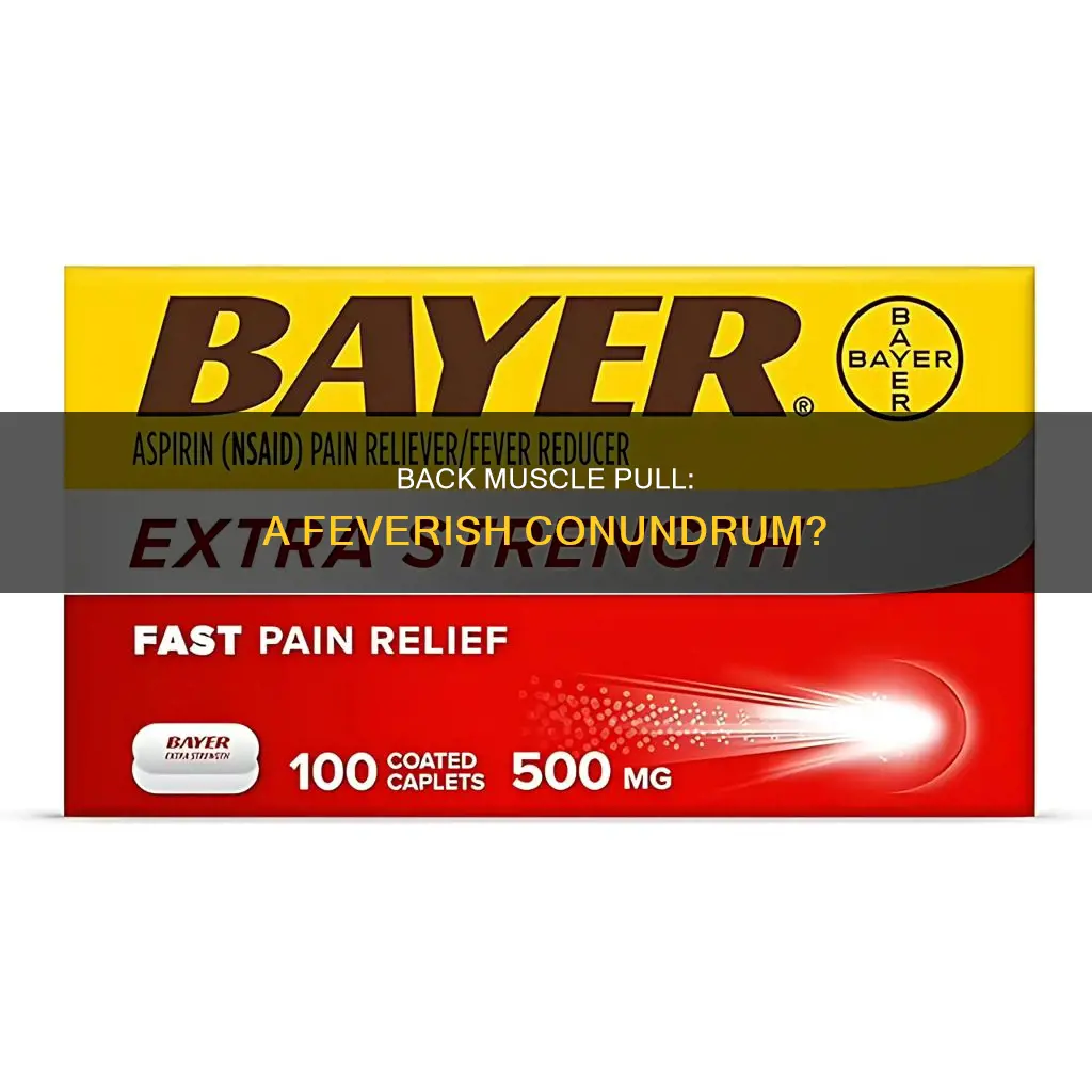 can a pulled back muscle cause fever