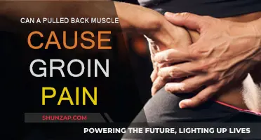 Back Muscle Pulls: Groin Pain and Treatment