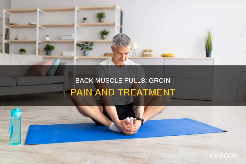can a pulled back muscle cause groin pain