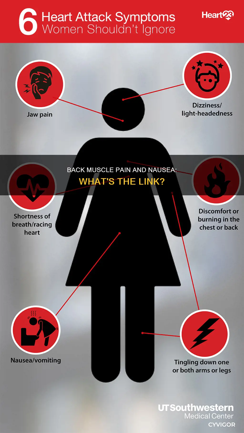 can a pulled back muscle cause nausea