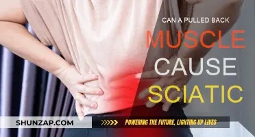 Back Muscle and Sciatica: What's the Connection?