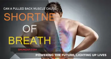 Back Pain and Breathing: The Surprising Link