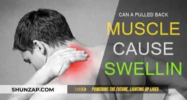Back Muscle Swelling: Is It a Pulled Muscle?