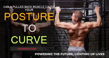 Back Muscle Pain: How It Affects Your Posture