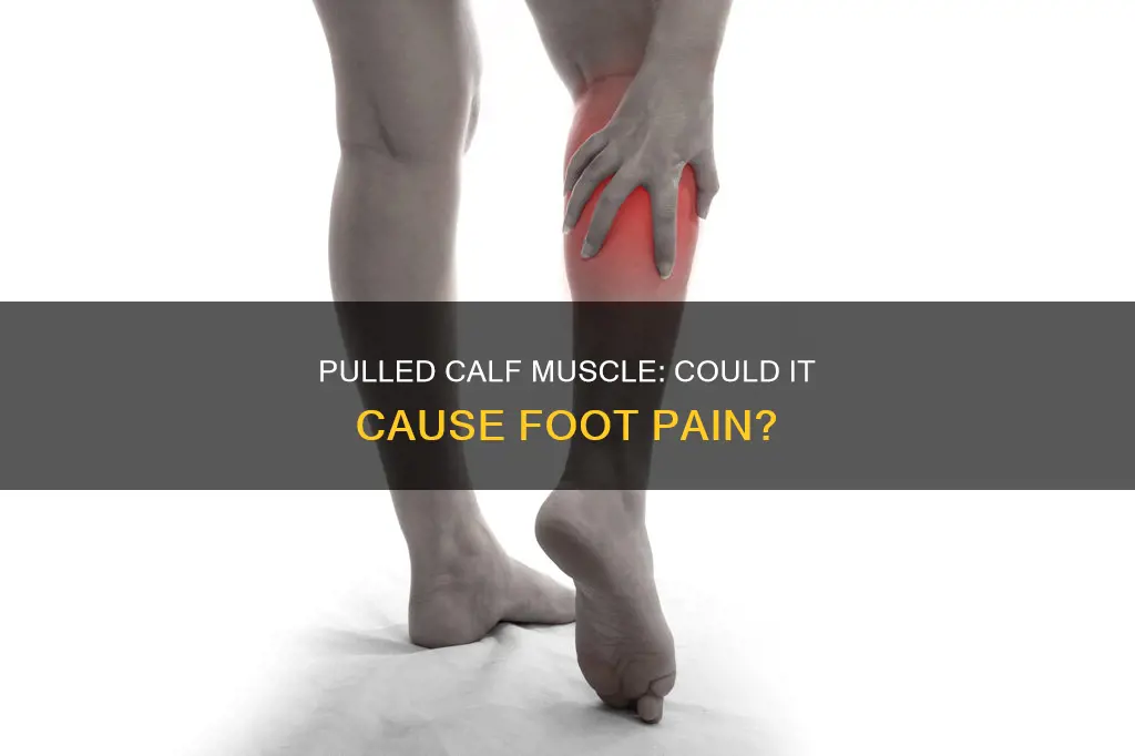 can a pulled calf muscle cause foot pain