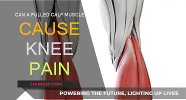 Pulled Calf Muscle: Why Your Knee Hurts