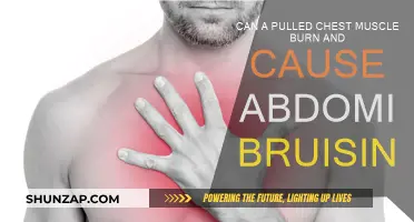 Pulled Chest Muscle: Burning Sensation and Abdominal Bruising