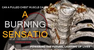 Pulled Chest Muscle: Burning Sensation Explained