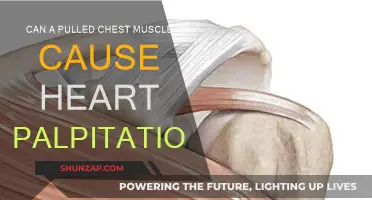 Chest Muscle Strain: Heart Palpitations Explained