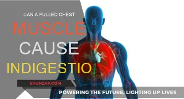 Pulled Chest Muscle: A Cause for Indigestion?