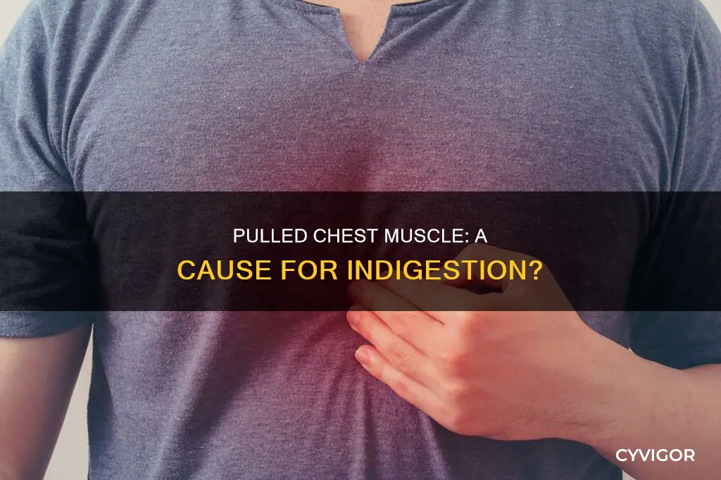 can a pulled chest muscle cause indigestion