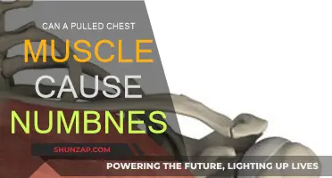 Pulled Chest Muscle: Numbness and Other Symptoms