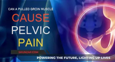 Groin Strain and Pelvic Pain: What's the Link?