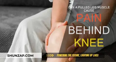 Leg Muscle Pull: Behind-the-Knee Pain Explained