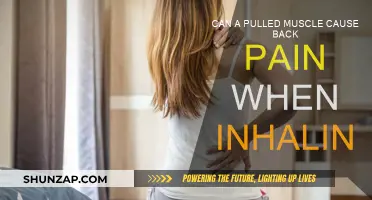 Pulled Muscle and Inhaling: What's the Back Pain Link?