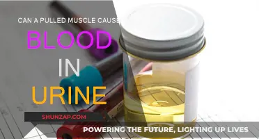 Pulled Muscle and Bloody Urine: What's the Link?