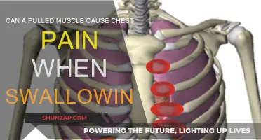 Pulled Muscle and Swallowing: What's the Connection?