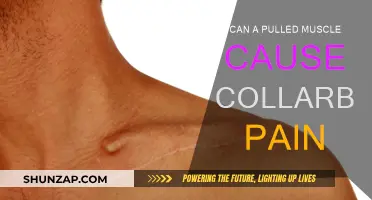 Pulled Muscle and Collarbone Pain: Is There a Link?