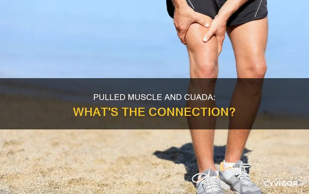 can a pulled muscle cause cuada