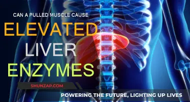 Pulled Muscle and Liver Enzymes: Is There a Link?