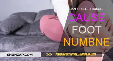 Foot Numbness: Could a Pulled Muscle be the Culprit?