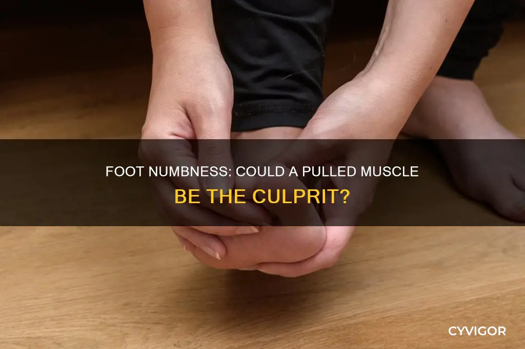 can a pulled muscle cause foot numbness