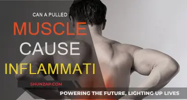 Pulled Muscles: Inflammation and How to Treat It