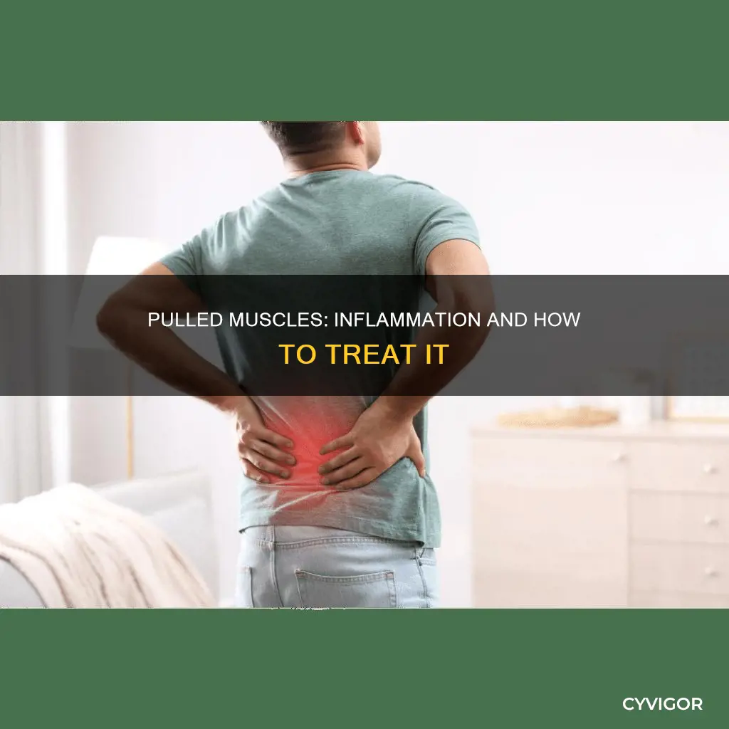 can a pulled muscle cause inflammation