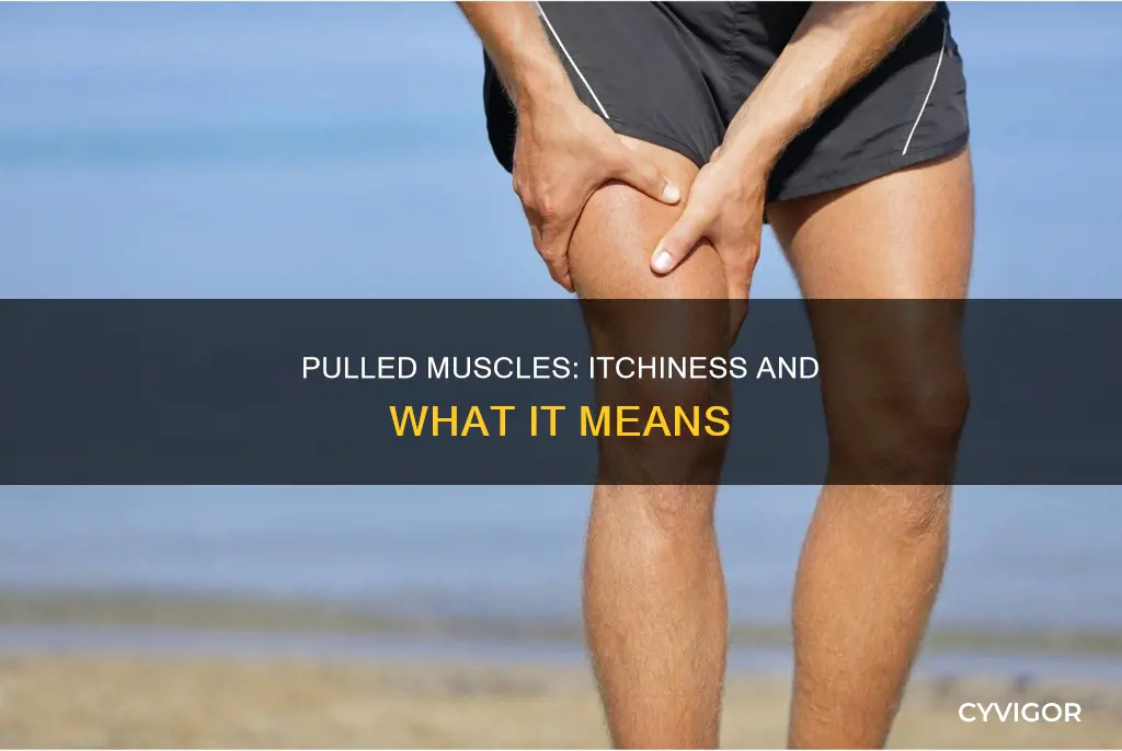 can a pulled muscle cause itching