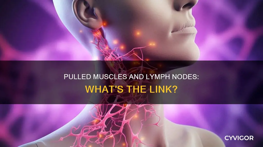 can a pulled muscle cause lymph node swelling