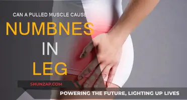 Pulled Muscle Leg Numbness: What You Need to Know