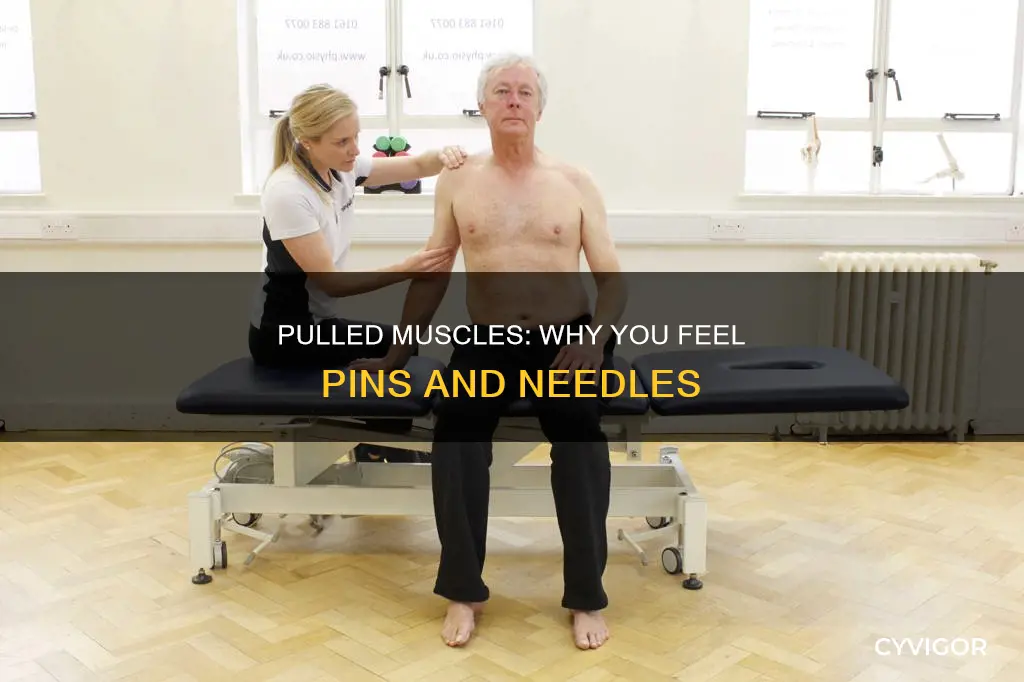 can a pulled muscle cause pins and needles