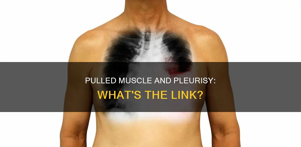 can a pulled muscle cause pleurisy