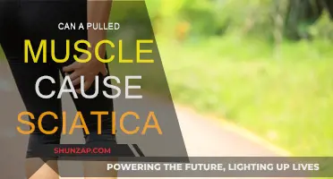 Pulled Muscle and Sciatica: What's the Connection?