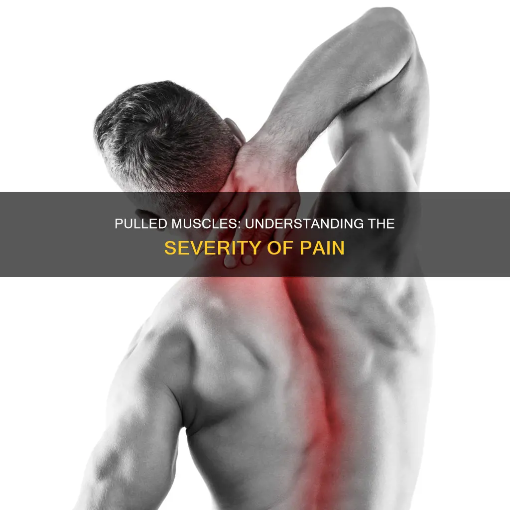 can a pulled muscle cause sever pain