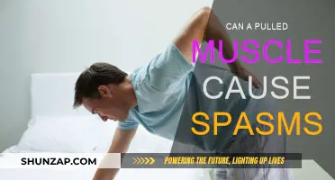 Pulled Muscle Spasms: Why They Happen and How to Treat Them