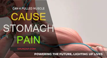 Pulled Muscle and Stomach Pain: What's the Link?