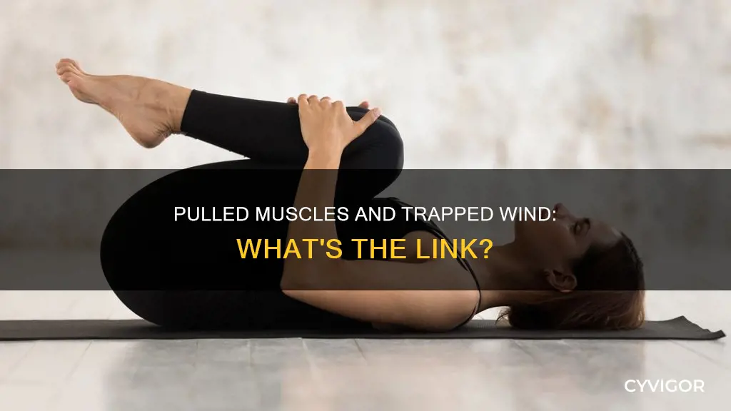 can a pulled muscle cause trapped wind