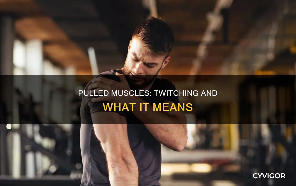 can a pulled muscle cause twitching in the muscle