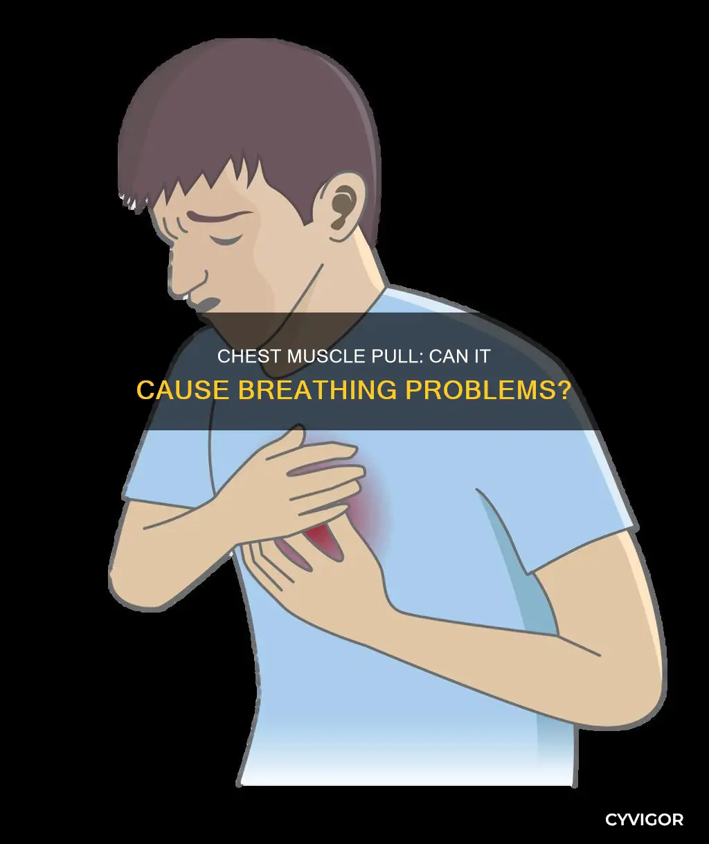 can a pulled muscle in chest cause shortness of breath