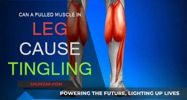 Leg Muscle Pull: Why Tingling is a Concern