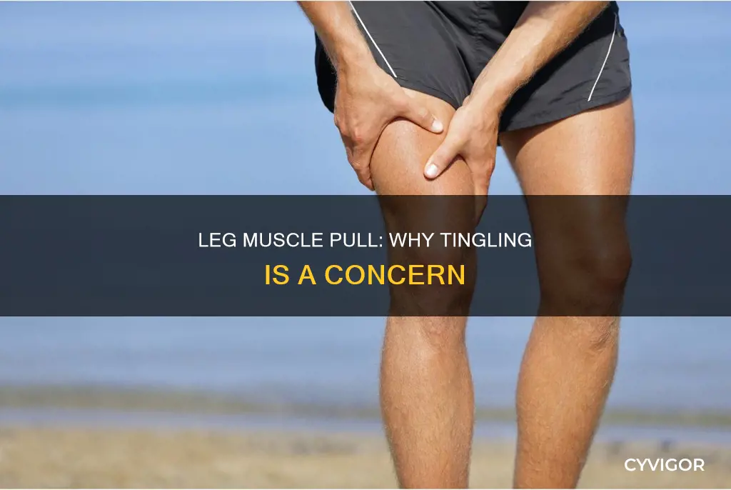 can a pulled muscle in leg cause tingling