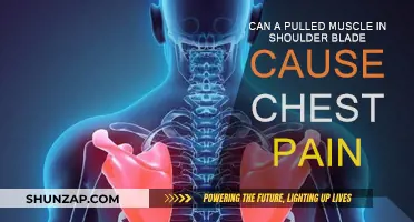 Pulled Muscle in Shoulder Blade: Why Chest Pain Occurs