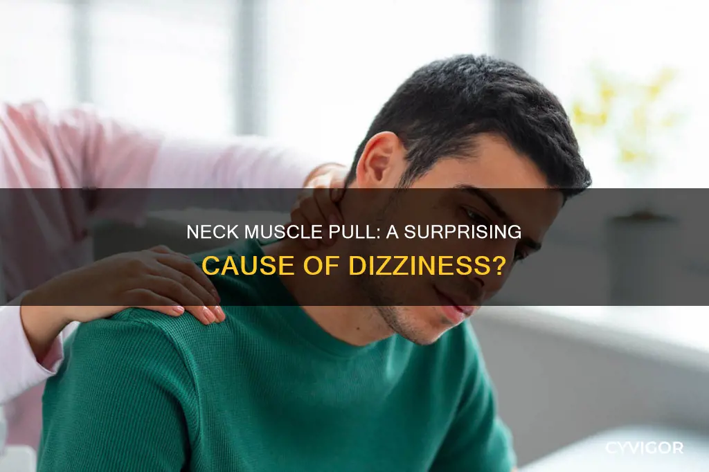 can a pulled muscle in the neck cause dizziness