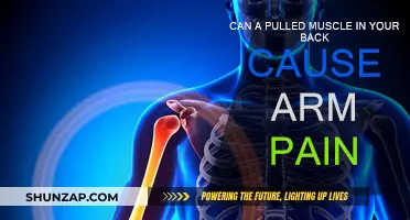 Back Muscle Pulls: Arm Pain Connection